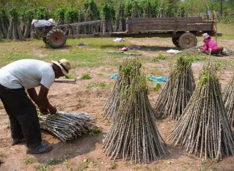 Giảm mạnh lượng nhập khẩu HCFC