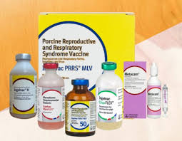 Hợp nhất quy định về quản lý thuốc thú y