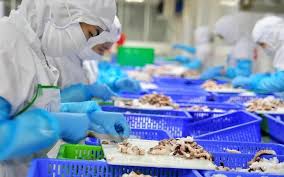 Danh sách cơ quan thẩm quyền cấp Giấy chứng nhận thủy sản, sản phẩm thủy sản đủ điều kiện xuất khẩu vào thị trường Hoa Kỳ